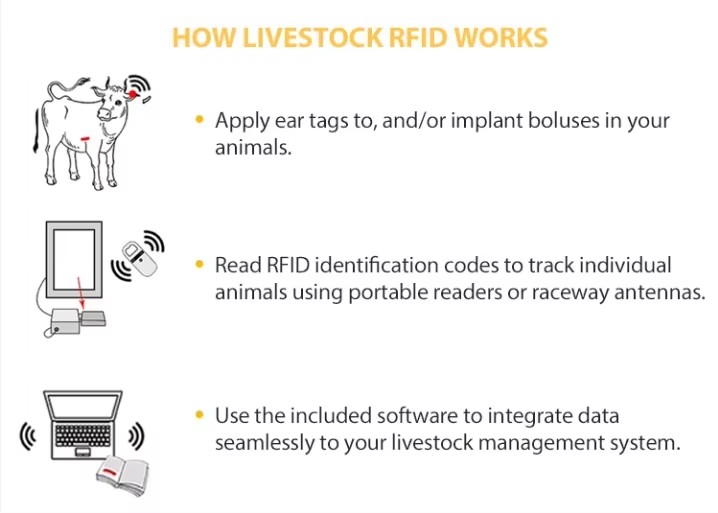 animal rfid tags